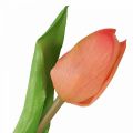 Floristik24 Umelý kvet Tulip Peach Real Touch jarný kvet V21cm