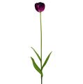 Floristik24 Umelé kvety tulipány fialovo-zelené 84cm - 85cm 3ks