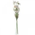 Floristik24 Umelé kvety Cosmea biele hodvábne kvety V51cm 3ks