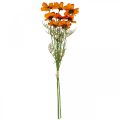 Floristik24 Umelé kvety Cosmea Orange košík na šperky V51cm 3ks