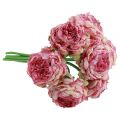 Floristik24 Umelé kvety Dekorácia Umelé pivonky Ružové starožitné 27cm 7ks
