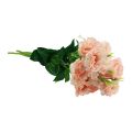 Floristik24 Umelé kvety Eustoma Lisianthus ružové 52cm 5ks