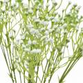 Floristik24 Gypsophila gypsophila umelá v zväzku biela 46cm 5ks