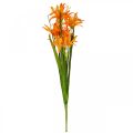 Floristik24 Umelé kvety Nerine Orange Guernsey Lilies Jesenné kvety 48cm