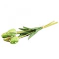 Floristik24 Umelé kvety tulipán zelený, jarný kvet 48 cm zväzok 5 ks