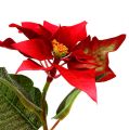 Floristik24 Umelé kvety vianočná hviezda červená L73cm