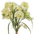 Floristik24 Umelé kvety biela allium dekorácia okrasná cibuľa 34cm 3ks v zväzku