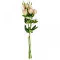 Floristik24 Umelé kvety lisianthus krémová 51cm kvetinová dekorácia 5ks