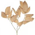 Floristik24 Umelá rastlina jesenná dekorácia konáre listy umyté biele L70cm