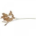 Floristik24 Umelá rastlina jesenná dekorácia konáre listy umyté biele L70cm