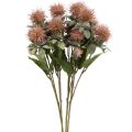 Floristik24 Umelé rastliny svetlica bodliak konár bodliak ružový 4ks