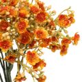 Floristik24 Gypsophila umelé kvety Gypsophila Orange L30cm 6ks v zväzku