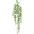 Floristik24 Umelá rastlina jarná špargľa ozdobná vetvička spojovacia zelená H108cm