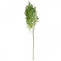 Floristik24 Umelá rastlina jarná špargľa ozdobná vetvička spojovacia zelená H108cm