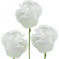 Floristik24 Umelé ruže krémový vosk ruže deko vosk ruže Ø6cm 18 kusov