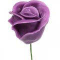 Floristik24 Umelé ruže fialka vosk ruže deco roses vosk Ø6cm 18ks
