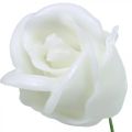 Floristik24 Umelé ruže biele voskové ruže ozdobné ruže vosk Ø6cm 18ks