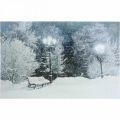 Floristik24 LED obraz Vianočná zimná krajina s lavičkou v parku LED nástenná maľba 58x38cm