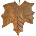 Floristik24 Jesenná dekorácia listy kovové hrdzavý vzhľad L20cm 4ks