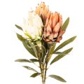 Floristik24 Umelý kvet protey Leucadendron s dlhou stonkou, 65 cm, 3 kusy