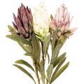 Umelý kvet Protea Leucadendron