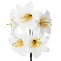 Floristik24 Umelý kvet ľalie, biely, na drôte, stredná veľkosť, 35 cm, 5 kusov