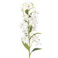 Floristik24 Umelá biela ľalia s dlhou kvitnúcou vetvičkou, dekoratívna, 80 cm