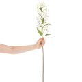 Umelá biela ľalia s dlhou kvitnúcou vetvičkou, dekoratívna, 80 cm | Floristik24.sk
