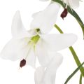 Umelá biela ľalia s dlhou kvitnúcou vetvičkou, dekoratívna, 80 cm | Floristik24.sk