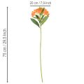 Umelý kvet alstromérie pomarančovej, umelá kytičná dekorácia, 75 cm, 3 kusy | Floristik24.sk