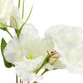 Floristik24 Lysianthus umelý kvet biely L87,5cm