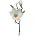 Floristik24 Magnólia biely umelý kvet s púčikmi na ozdobnej vetvičke V40cm