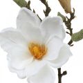 Floristik24 Magnólia biely umelý kvet s púčikmi na ozdobnej vetvičke V40cm
