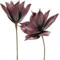 Floristik24 Umelý kvet magnólia fialový penový kvet Ø10cm 6ks