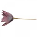 Floristik24 Umelý kvet magnólia fialový penový kvet Ø10cm 6ks