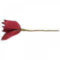 Floristik24 Umelá magnólia červená umelá kvetina penová kvetinová dekorácia Ø10cm 6ks