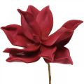 Floristik24 Umelá magnólia červená umelá kvetina penová kvetinová dekorácia Ø10cm 6ks