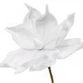 Floristik24 Umelá magnólia biely umelý kvet na paličke Ø10cm Pena 6ks