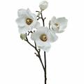 Floristik24 Konár magnólie biely Ozdobný konár magnólie umelý kvet