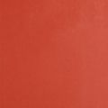 Floristik24 Manžetový papier kvetinový hodvábny hodvábny papier červený 37,5cm 100m