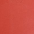 Floristik24 Manžetový papier kvetinový hodvábny papier červený 25cm 100m