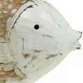 Floristik24 Námorná dekorácia rybie drevo drevená ryba shabby chic 17×8cm