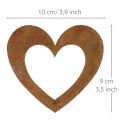 Floristik24 Srdce hrdza záhradná dekorácia kovové srdce 10cm 12ks