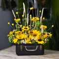 Floristik24 Kovový kufrík, kvetináč, kufrík na pestovanie L30/22,5cm sada 2 ks