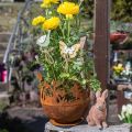 Floristik24 Kovová miska so zajačikmi, veľkonočné dekorácie, kvetináč na sadenie patiny Ø18cm V19,5cm