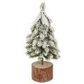 Floristik24 Mini vianočný stromček drevený podstavec zelený biely Ø8cm H18cm 3ks