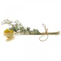 Floristik24 Mini kytička zo sušených kvetov boho, kvetinárstvo zo sušených kvetov L22cm