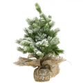 Floristik24 Mini vianočný stromček vo vreci zasnežený Ø25cm V42cm