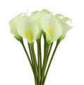 Floristik24 Mini kala umelá biela L 28cm 12 ks