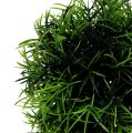 Floristik24 Mini loptička na trávu zelená umelá rastlina okrúhla Ø10cm 1ks